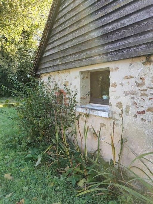 Rêves de Gamins, Gîte de campagne La Camusière proche du pôle Européen et 24h Champagné Exterior foto